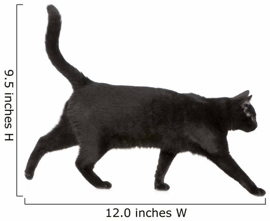 Black cat Wall Decal