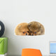 Pomeranian Puppy Wall Decal