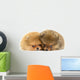 Pomeranian Puppy Wall Decal