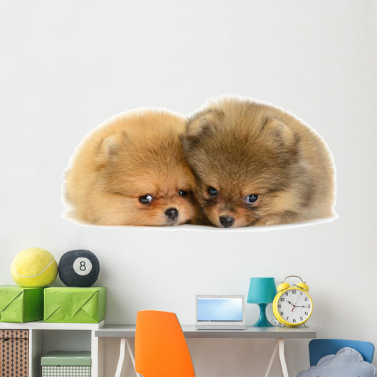 Pomeranian Puppy Wall Decal