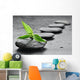 Zen Stones Wall Mural