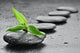 Zen Stones Wall Mural