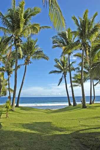 Grand Anse Beach Wall Decal