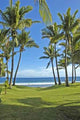 Grand Anse Beach Wall Decal