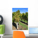 Vineyard Wall Decal
