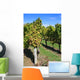 Vineyard Wall Decal