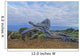 Gnarled Juniper Tree Shaped