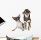 Two Chihuahuas Wall Decal