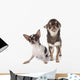 Two Chihuahuas Wall Decal