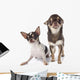 Two Chihuahuas Wall Decal