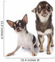 Two Chihuahuas Wall Decal
