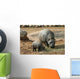 Pygmy Hippo With Baby Wall Mural