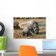 Pygmy Hippo With Baby Wall Mural