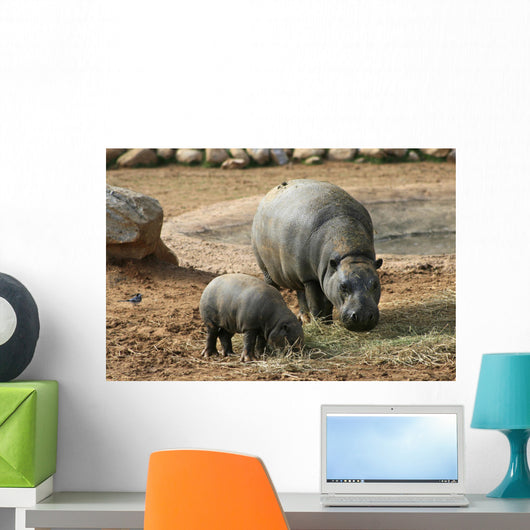 Pygmy Hippo With Baby Wall Mural