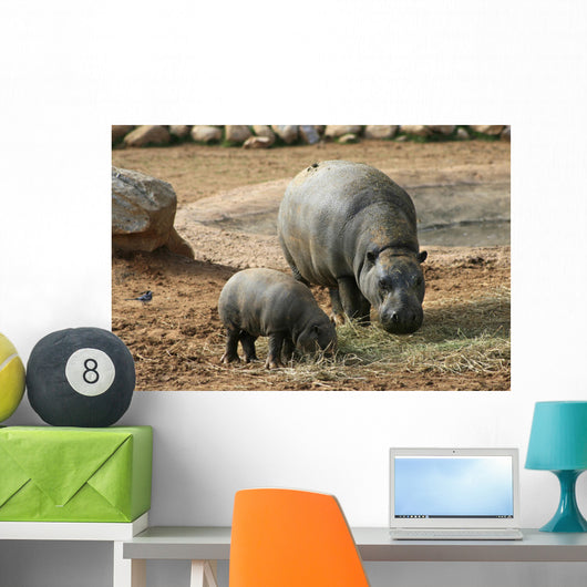 Pygmy Hippo With Baby Wall Mural