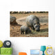 Pygmy Hippo With Baby Wall Mural