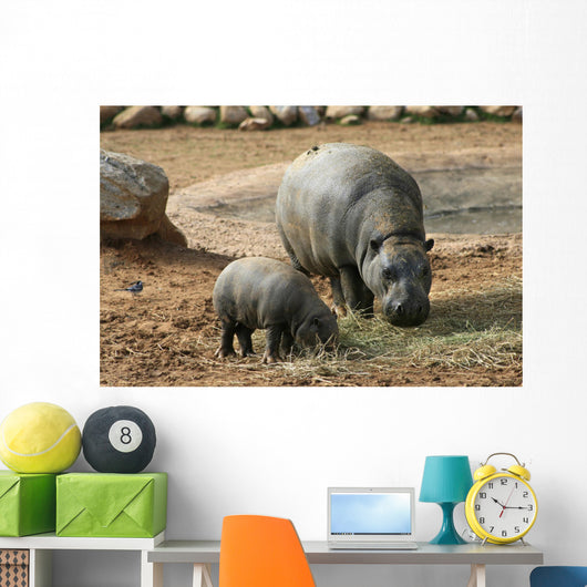 Pygmy Hippo With Baby Wall Mural