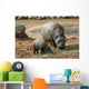 Pygmy Hippo With Baby Wall Mural