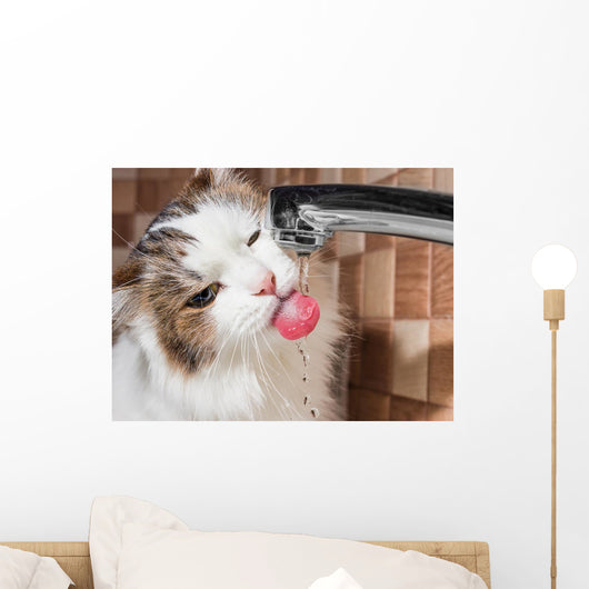 Cat Drinking Water Bathroom Wall Decal