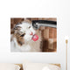 Cat Drinking Water Bathroom Wall Decal