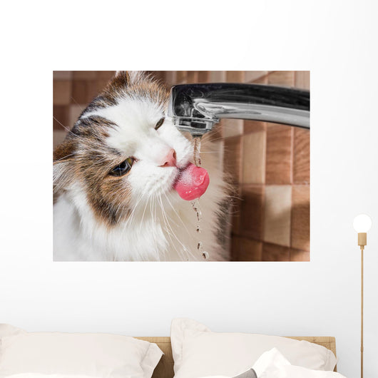 Cat Drinking Water Bathroom Wall Decal