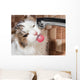 Cat Drinking Water Bathroom Wall Decal