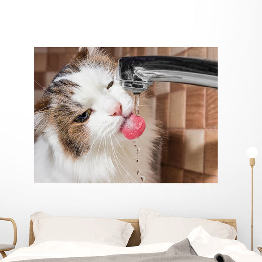 Cat Drinking Water Bathroom Wall Decal
