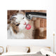 Cat Drinking Water Bathroom Wall Decal