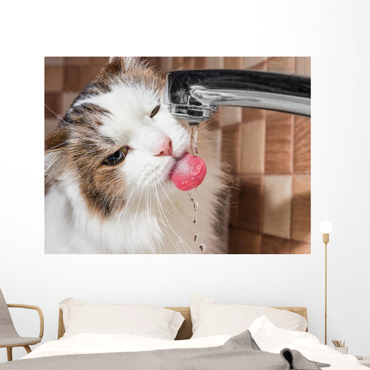 Cat Drinking Water Bathroom Wall Decal
