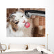Cat Drinking Water Bathroom Wall Decal