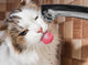 Cat Drinking Water Bathroom Wall Decal
