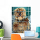 Yorkie Wall Mural