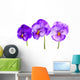 Pansies Wall Decal