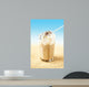Frappe Iced Coffee Beach