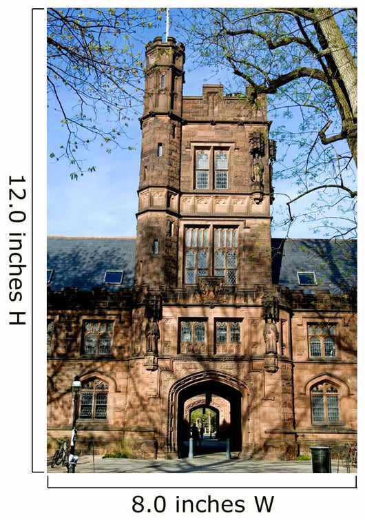 Campus of Princeton university dorm, New Jersey Wall Mural