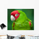 Portrait Red and Green Wall Decal
