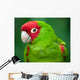 Portrait Red and Green Wall Decal