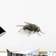 la mouche Wall Decal