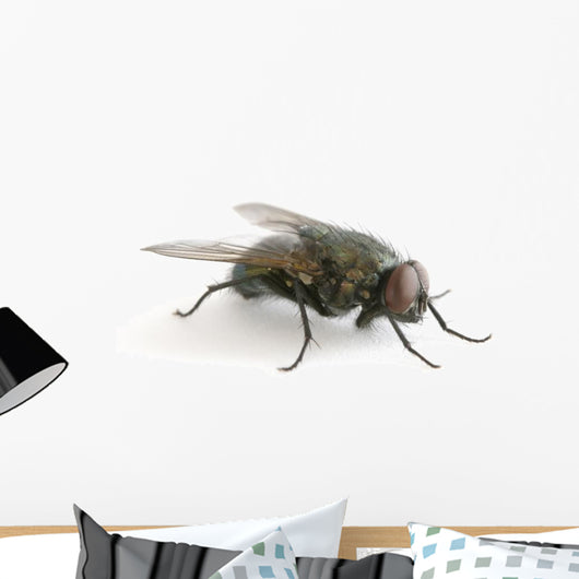 la mouche Wall Decal