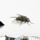 la mouche Wall Decal