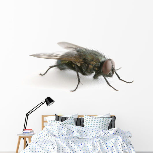la mouche Wall Decal