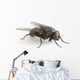 la mouche Wall Decal