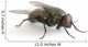 la mouche Wall Decal