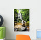 Upper Catabwa Falls 3 Wall Mural