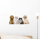 Group of pets: kitten and puppy on a raw Wall Decal
