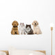 Group of pets: kitten and puppy on a raw Wall Decal