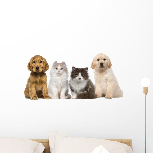 Group of pets: kitten and puppy on a raw Wall Decal