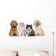 Group of pets: kitten and puppy on a raw Wall Decal
