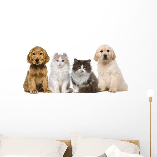 Group of pets: kitten and puppy on a raw Wall Decal