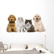 Group of pets: kitten and puppy on a raw Wall Decal